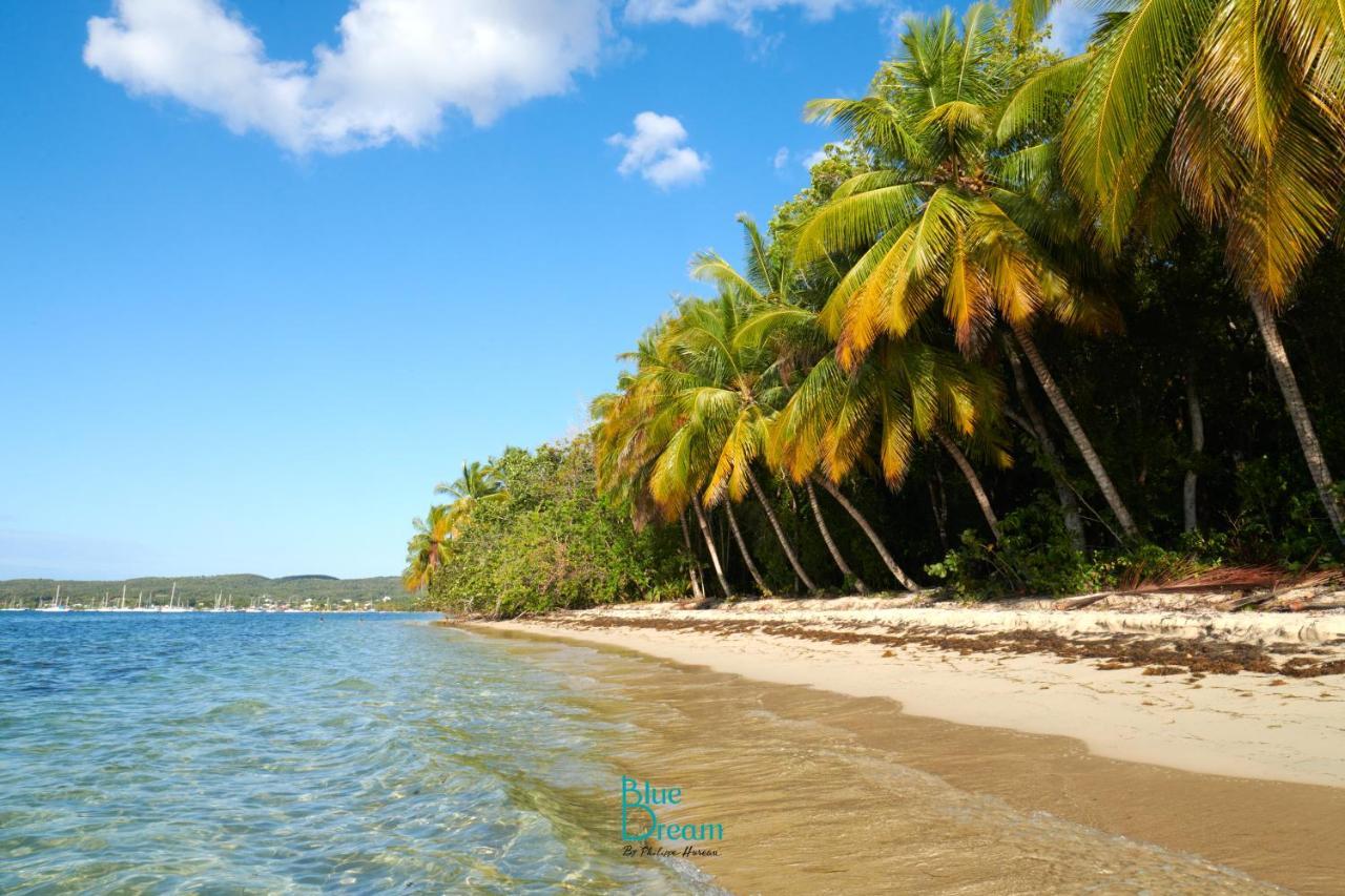 Kaz'Detente, Marie Galante, Plage Kawann Grand-Bourg  المظهر الخارجي الصورة