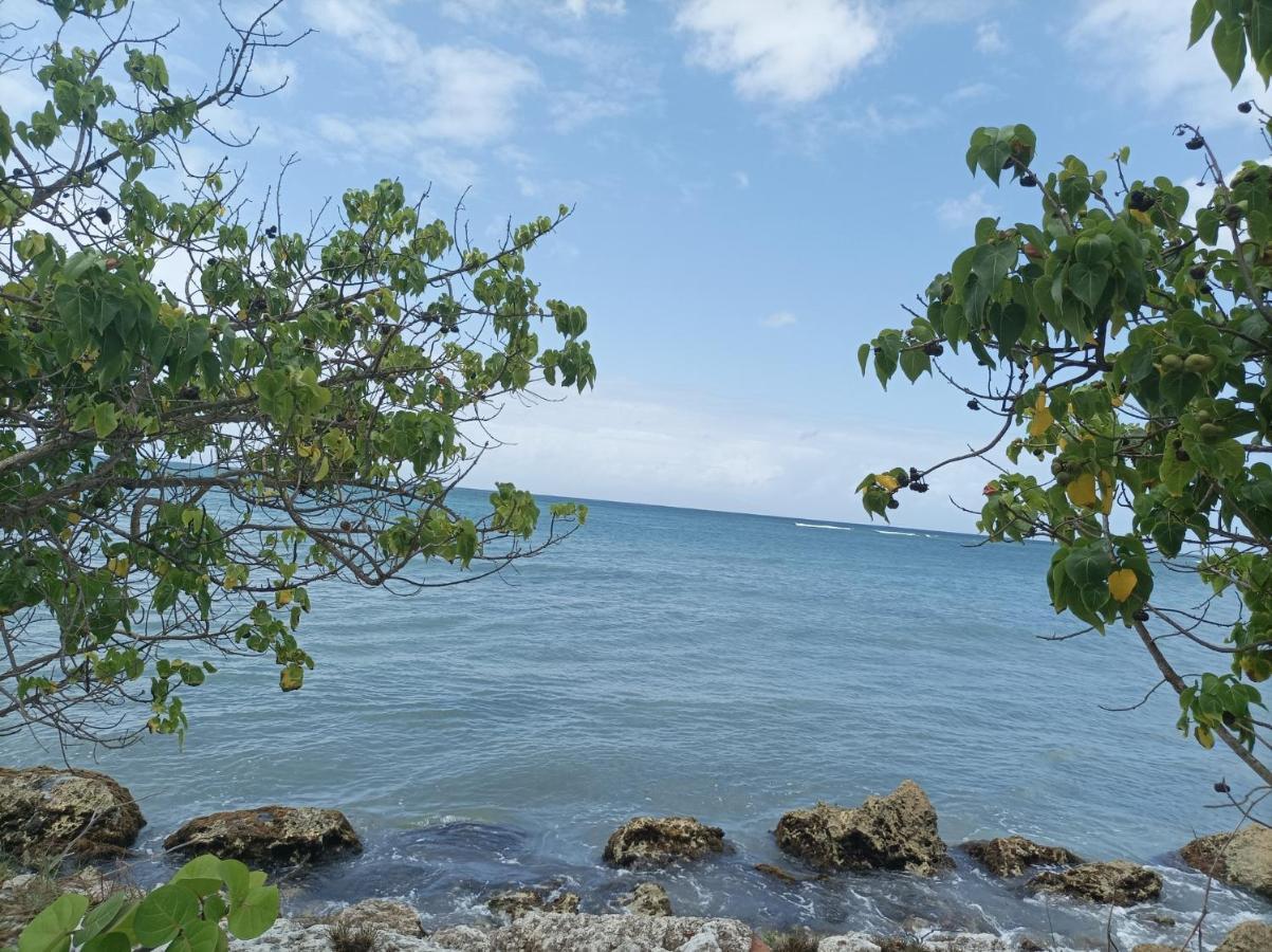 Kaz'Detente, Marie Galante, Plage Kawann Grand-Bourg  المظهر الخارجي الصورة