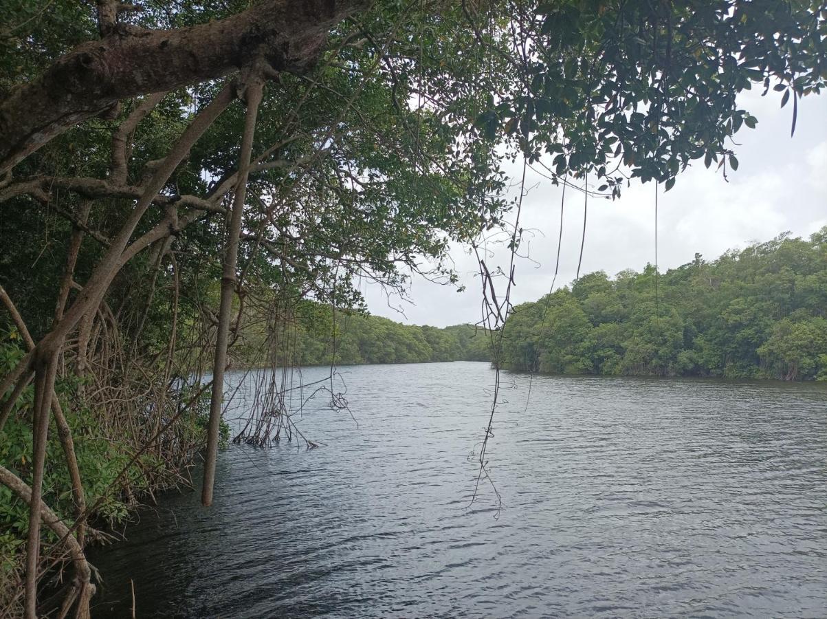 Kaz'Detente, Marie Galante, Plage Kawann Grand-Bourg  المظهر الخارجي الصورة