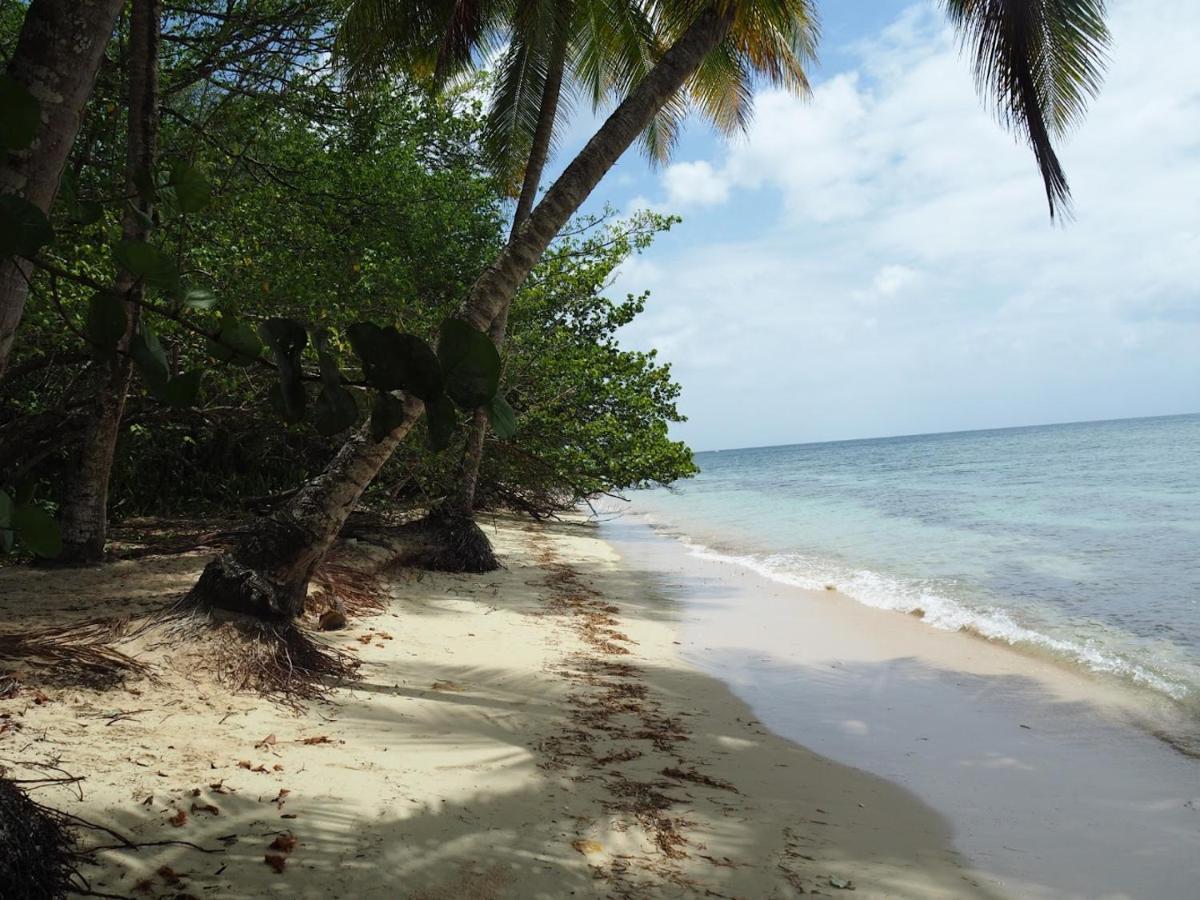 Kaz'Detente, Marie Galante, Plage Kawann Grand-Bourg  المظهر الخارجي الصورة