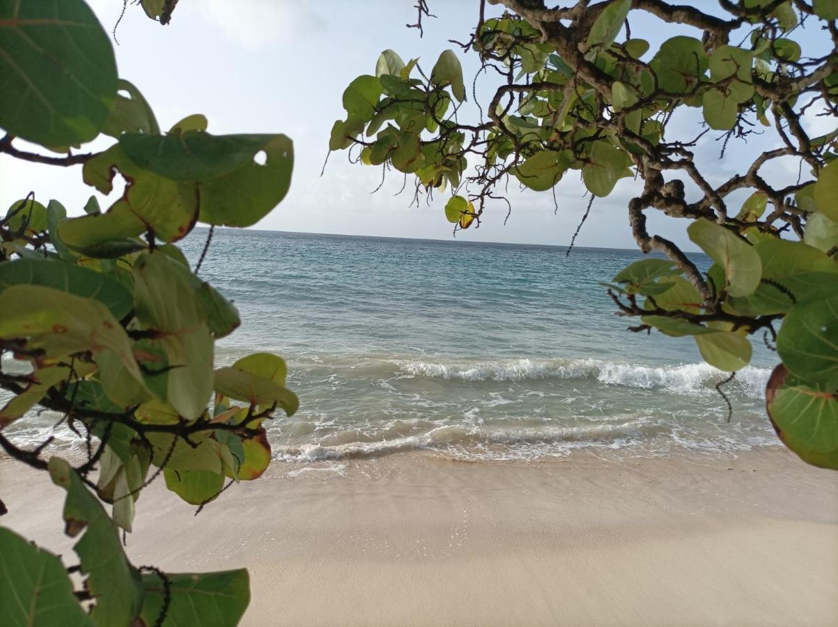 Kaz'Detente, Marie Galante, Plage Kawann Grand-Bourg  المظهر الخارجي الصورة